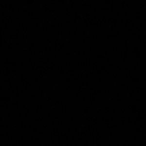 Meet your Posher, Daisy